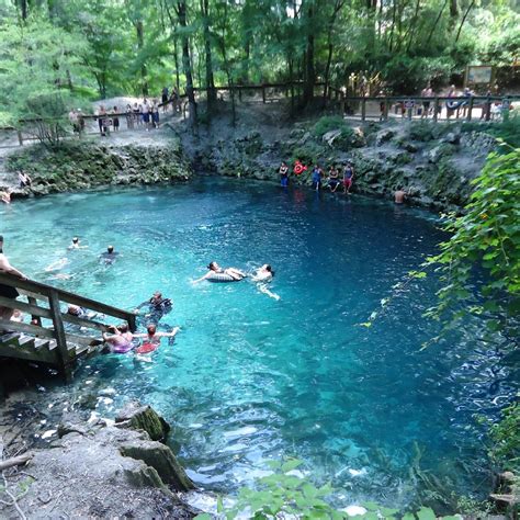 blue springs state park webcam|Webcam Blue Spring State Park